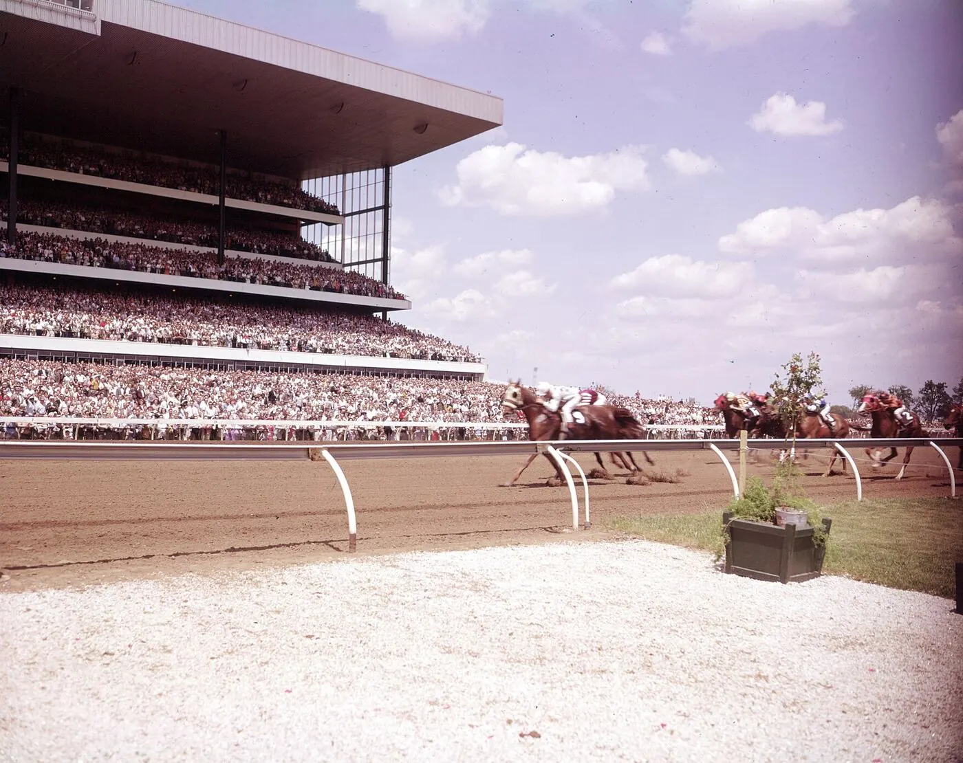 Archival colour photograph of a field of horses turning into the stretch at Woodbine in front of a full grandstand