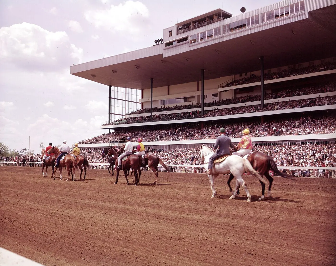 Horses and outriders in the post parade in front of a packed Woodbine grandstand in the mid twentieth century