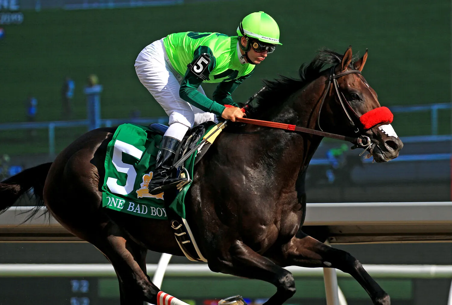 A jockey in green silks riding a dark Thoroughbred at speed on the track at Woodbine
